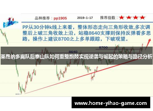 莱昂纳多离队后泰山队如何重整旗鼓实现逆袭与崛起的策略与路径分析