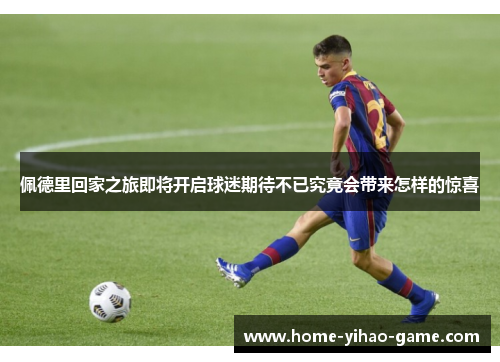 佩德里回家之旅即将开启球迷期待不已究竟会带来怎样的惊喜