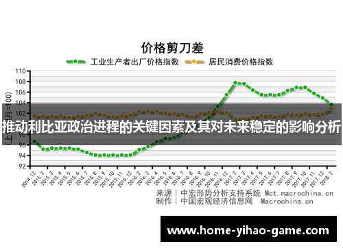 推动利比亚政治进程的关键因素及其对未来稳定的影响分析