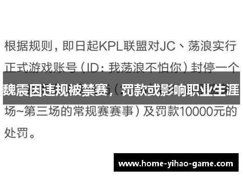 魏震因违规被禁赛，罚款或影响职业生涯