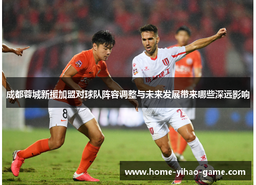 成都蓉城新援加盟对球队阵容调整与未来发展带来哪些深远影响