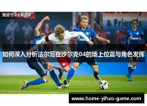 如何深入分析法尔范在沙尔克04的场上位置与角色发挥