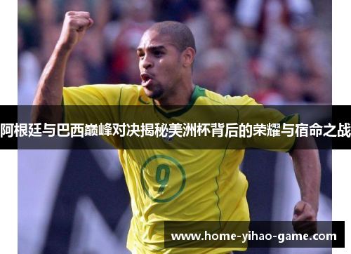 阿根廷与巴西巅峰对决揭秘美洲杯背后的荣耀与宿命之战